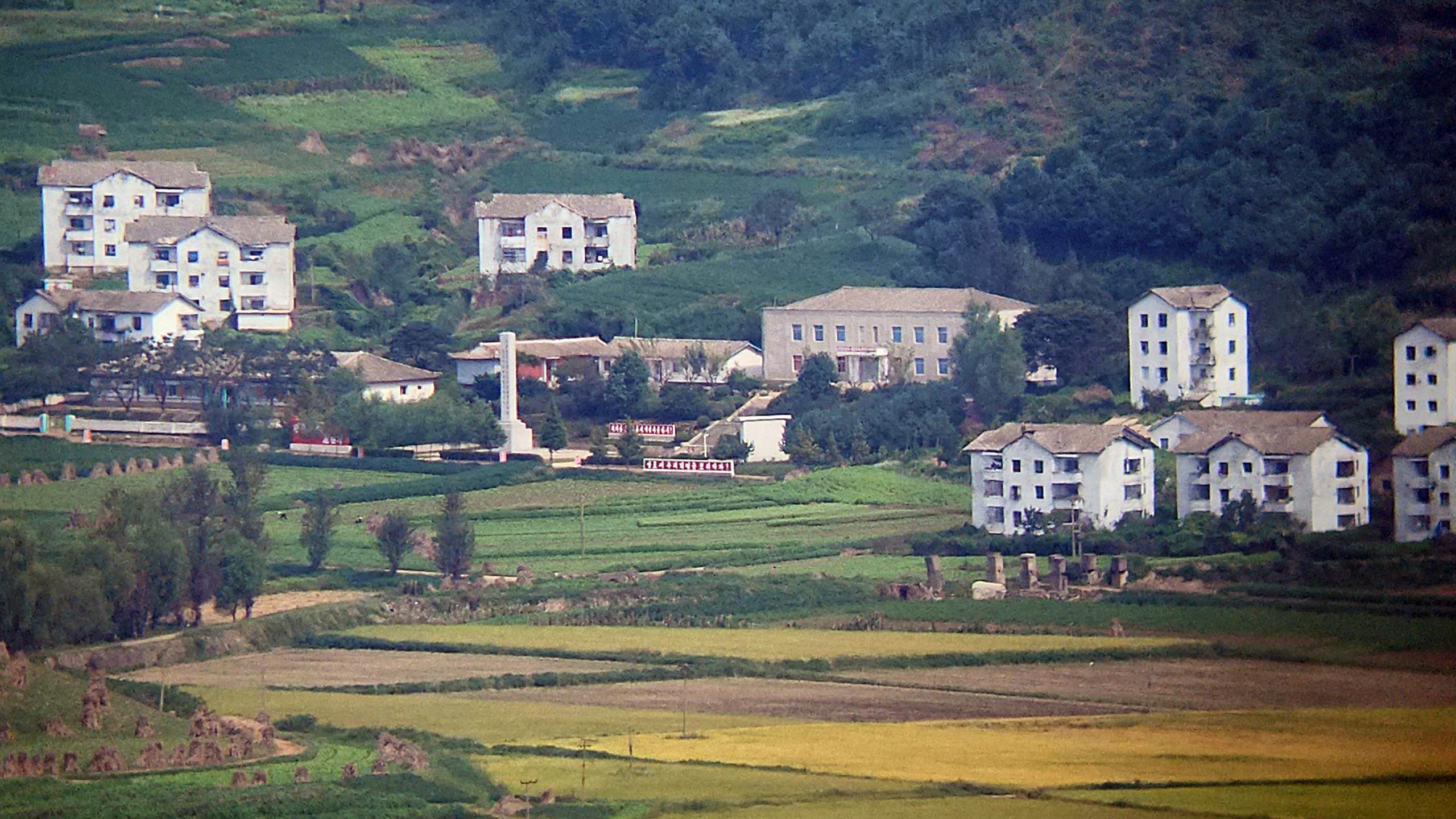 Three Things To Read from November 2025